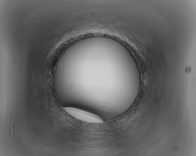 X0000091571495200708200939