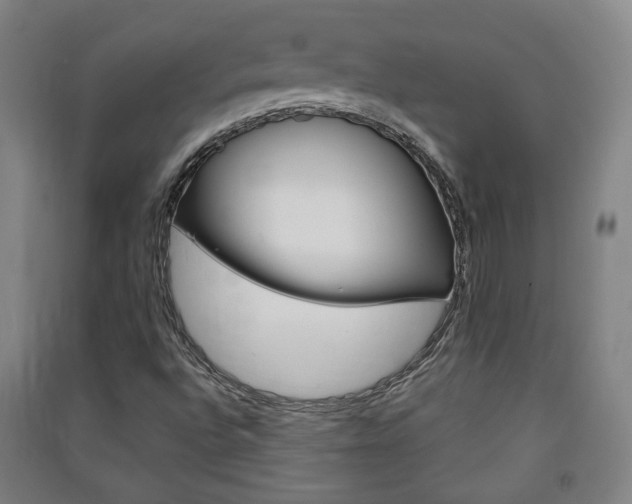 X0000091571496200708200939