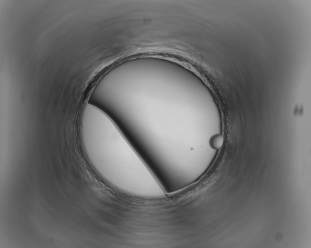 X0000091571497200708200939
