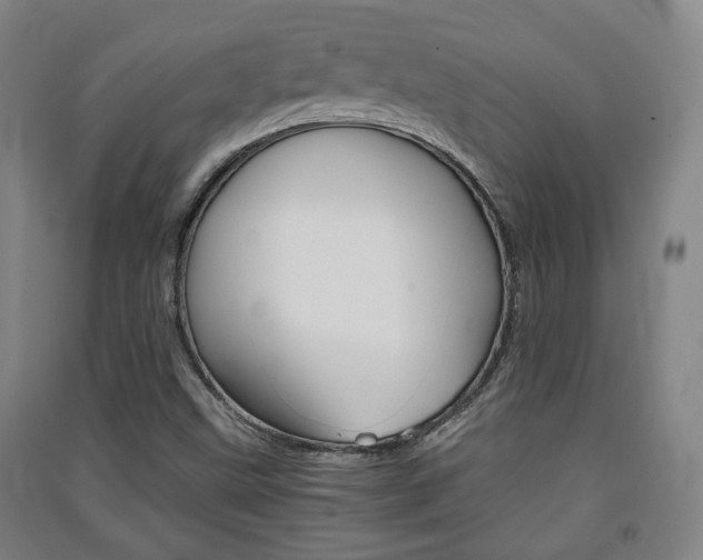 X0000091571499200708200939