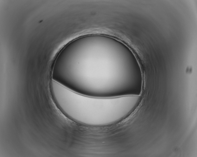 X0000091571500200708200939