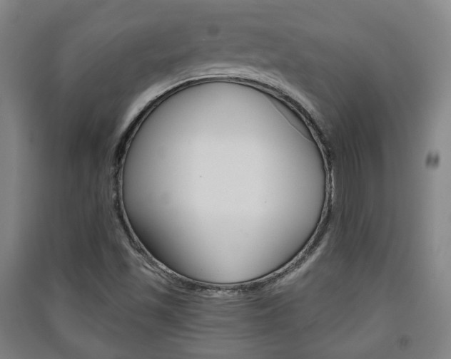 X0000091571501200708200939