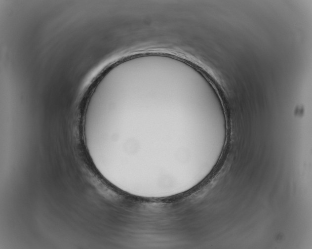 X0000091571502200708200939