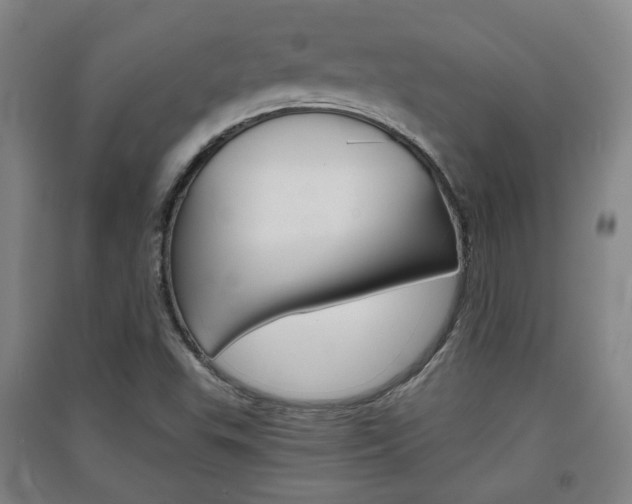 X0000091571503200708200939