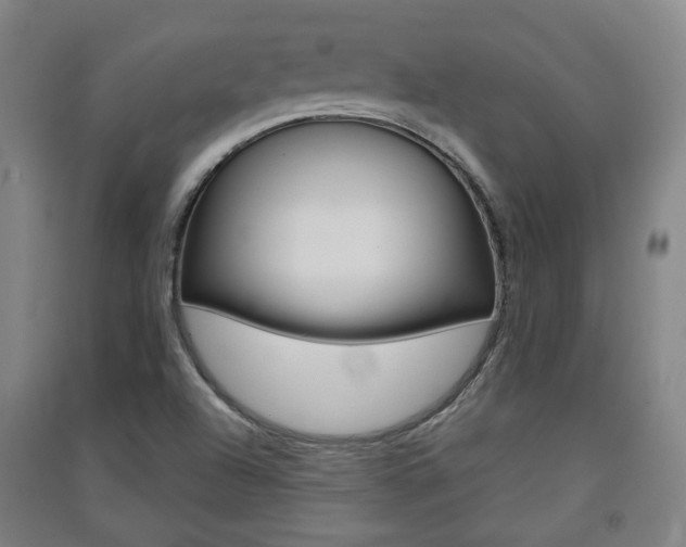 X0000091571504200708200939