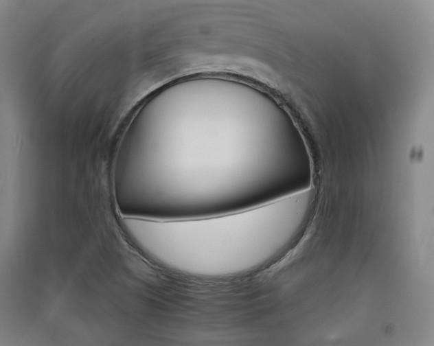 X0000091571505200708200939