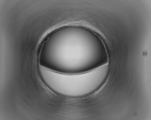 X0000091571506200708200939