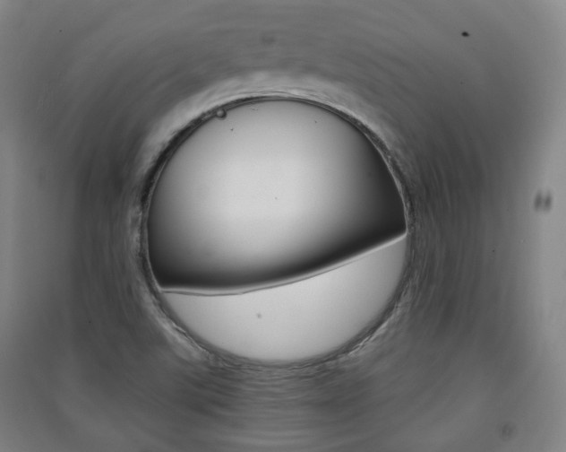 X0000091571507200708200939