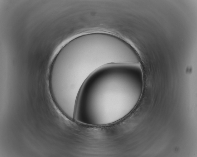 X0000091571508200708200939
