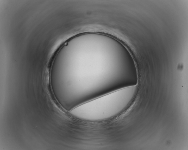 X0000091571509200708200939