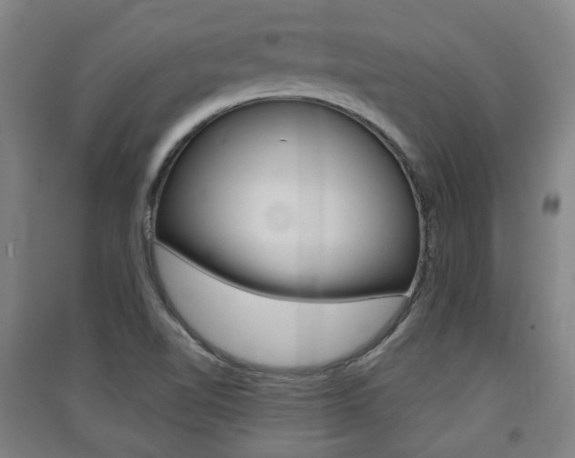 X0000091571510200708200939
