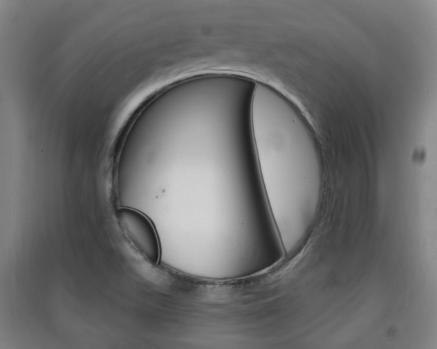 X0000091571511200708200939
