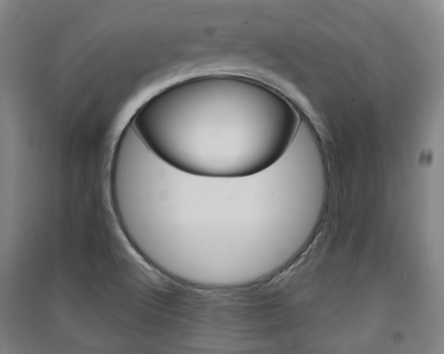 X0000091571512200708200939