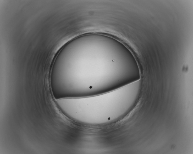 X0000091571513200708200939