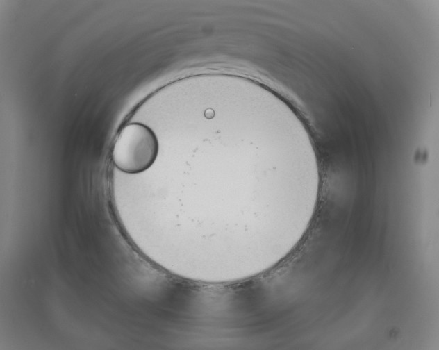 X0000091571514200708200939