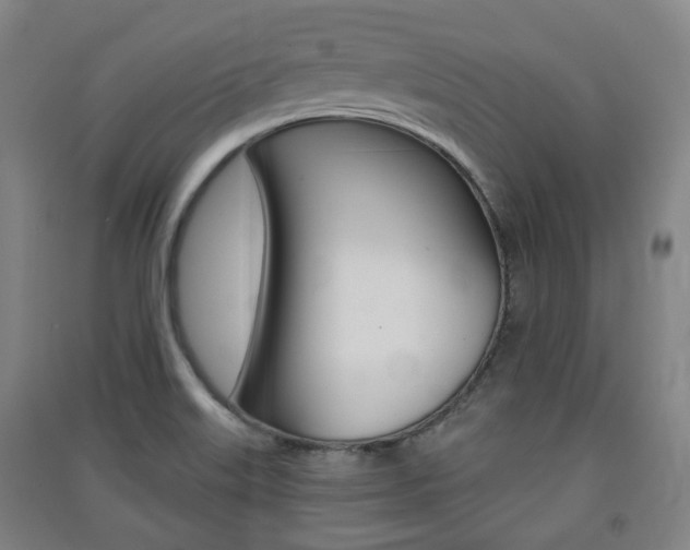 X0000091571515200708200939