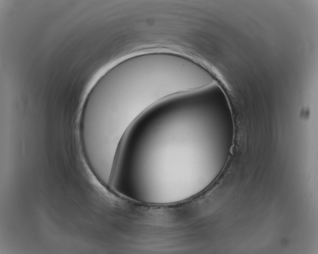X0000091571516200708200939