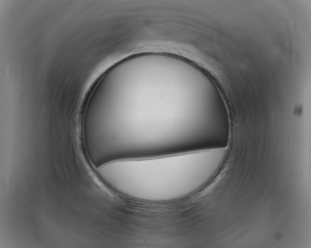 X0000091571517200708200939