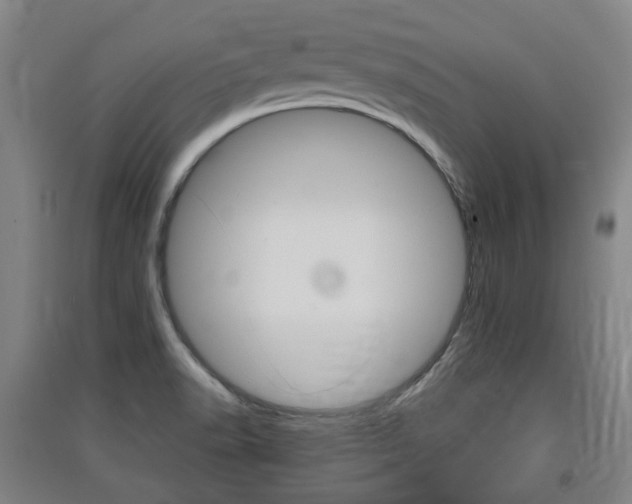 X0000091571518200708200939