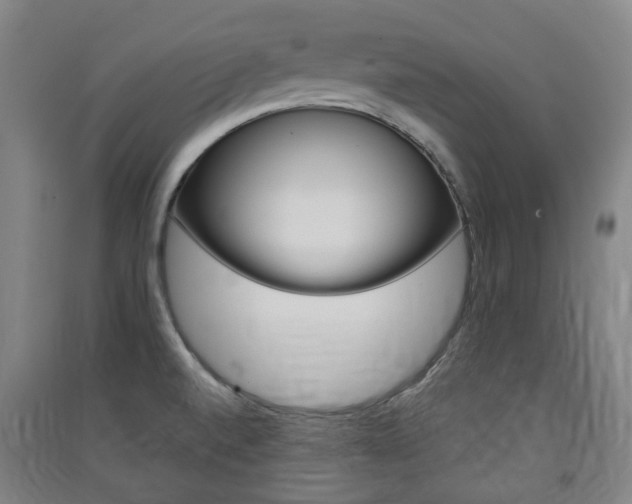 X0000091571520200708200939