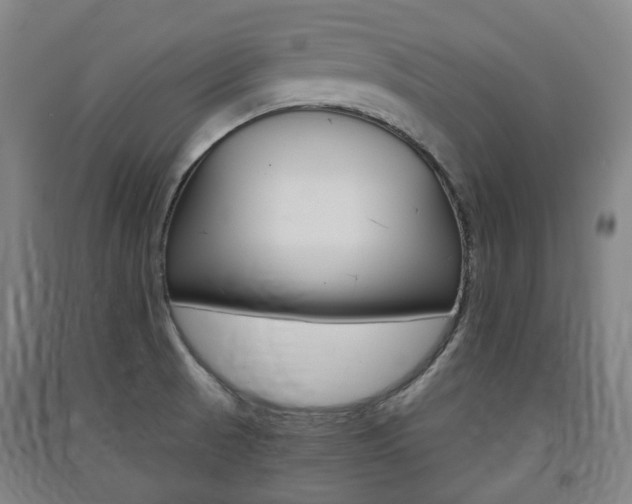 X0000091571521200708200939