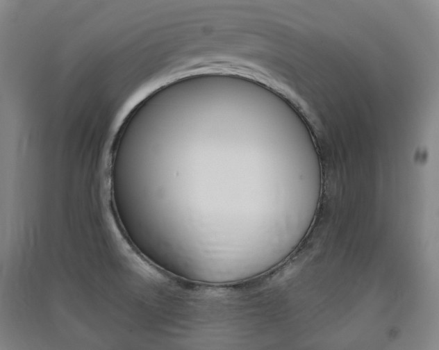 X0000091571522200708200939