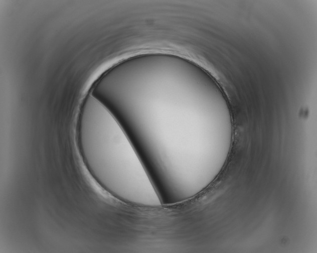X0000091571523200708200939
