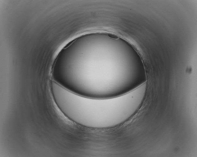 X0000091571524200708200939