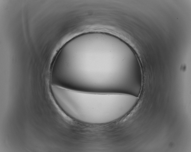 X0000091571525200708200939