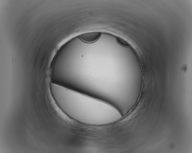 X0000091571526200708200939
