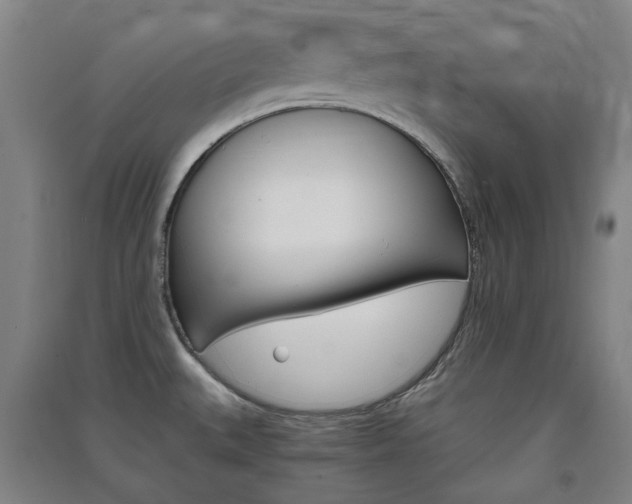 X0000091571527200708200939