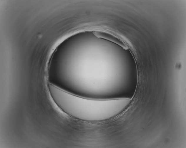 X0000091571528200708200939