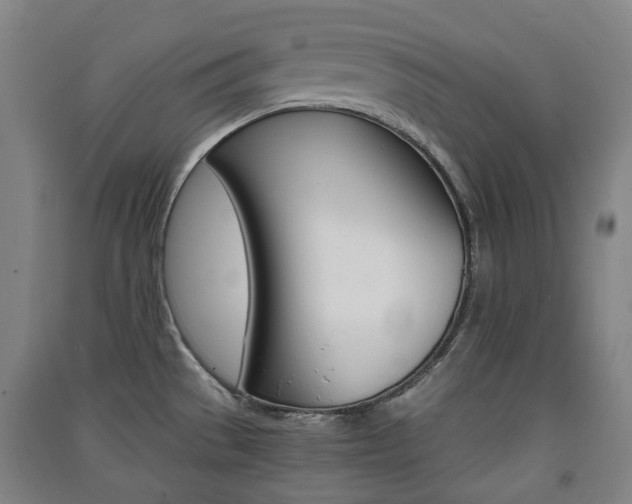 X0000091571529200708200939