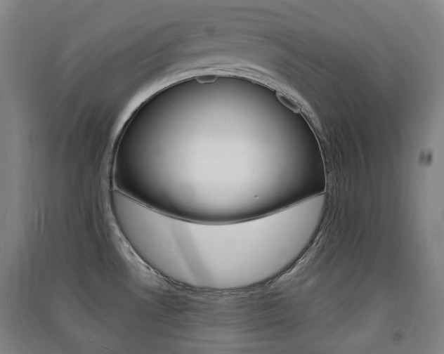 X0000091571530200708200939