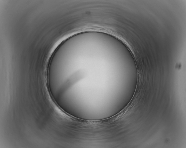 X0000091571531200708200939