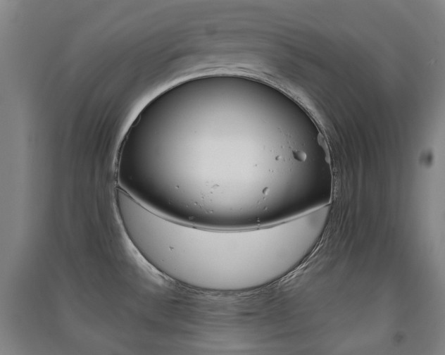 X0000091571532200708200939