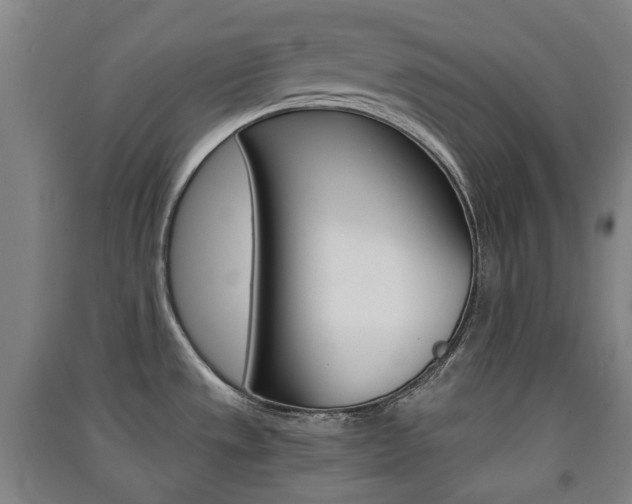 X0000091571533200708200939