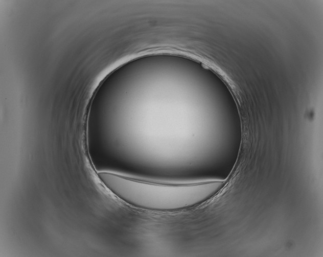 X0000091571534200708200939