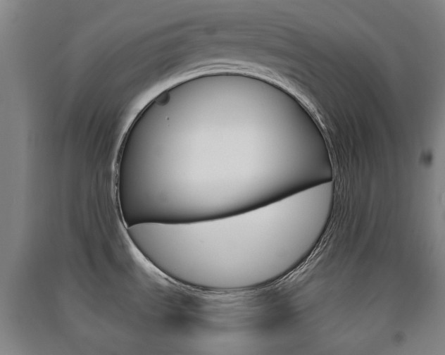 X0000091571535200708200939