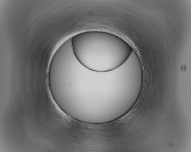 X0000091571536200708200940