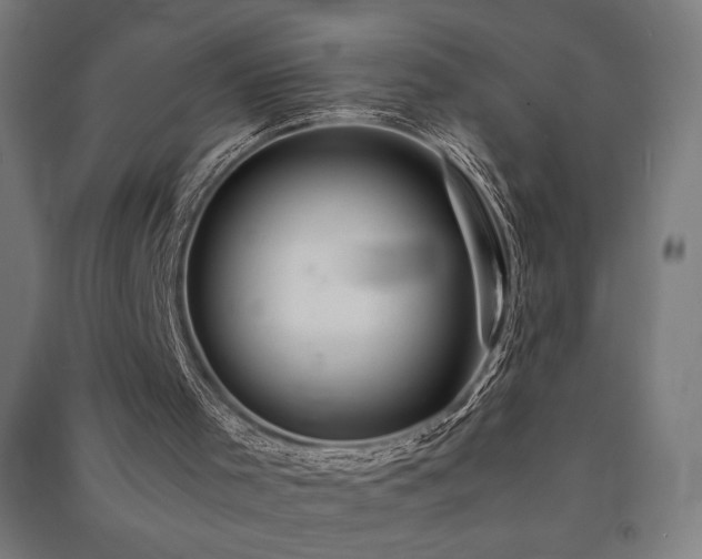 X0000091570001200708201156