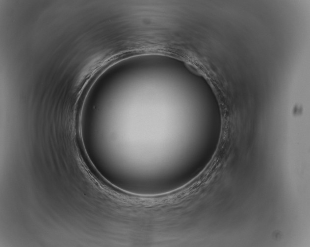 X0000091570002200708201156