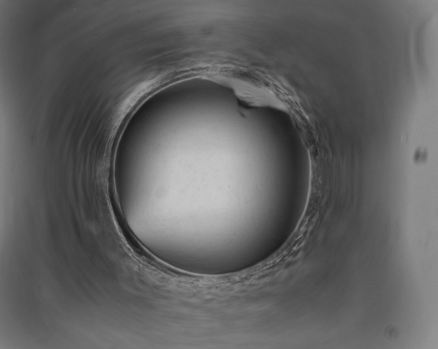 X0000091570003200708201156