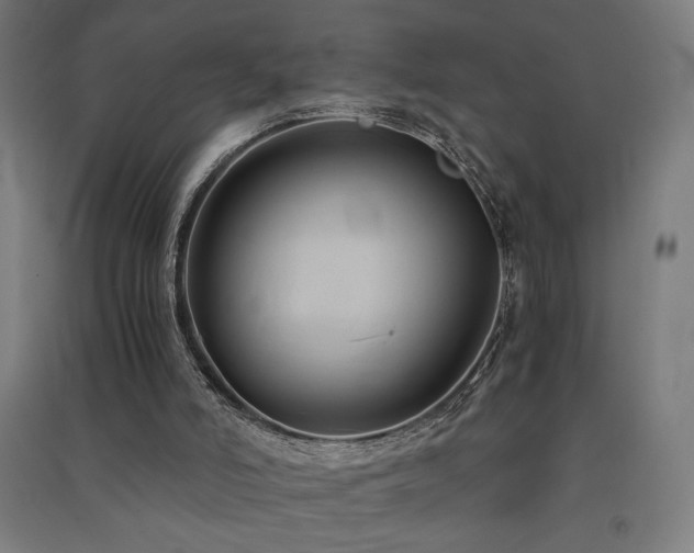 X0000091570006200708201155