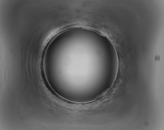X0000091570007200708201155