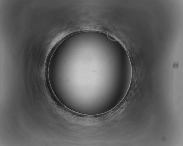 X0000091570008200708201155