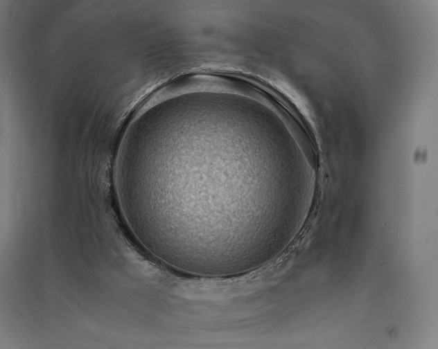 X0000091570009200708201155