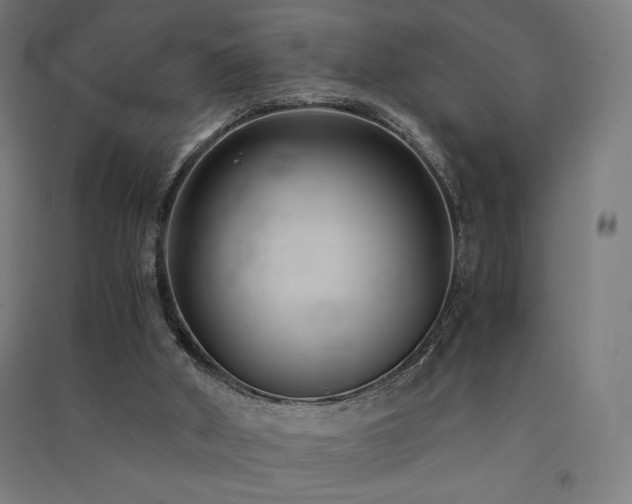X0000091570010200708201155