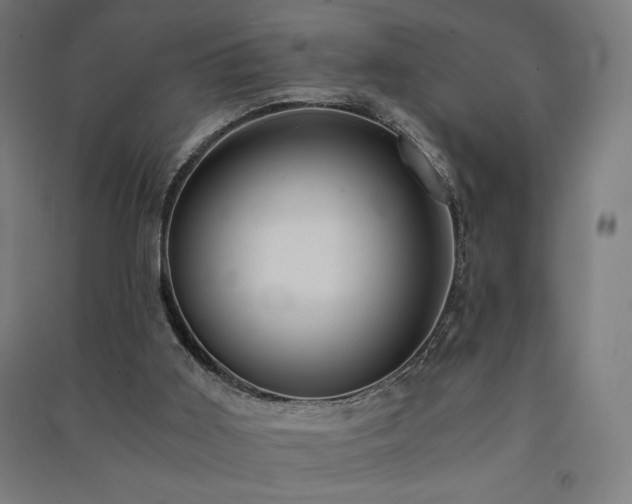 X0000091570011200708201155