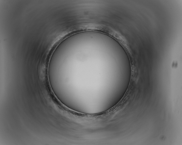 X0000091570012200708201155